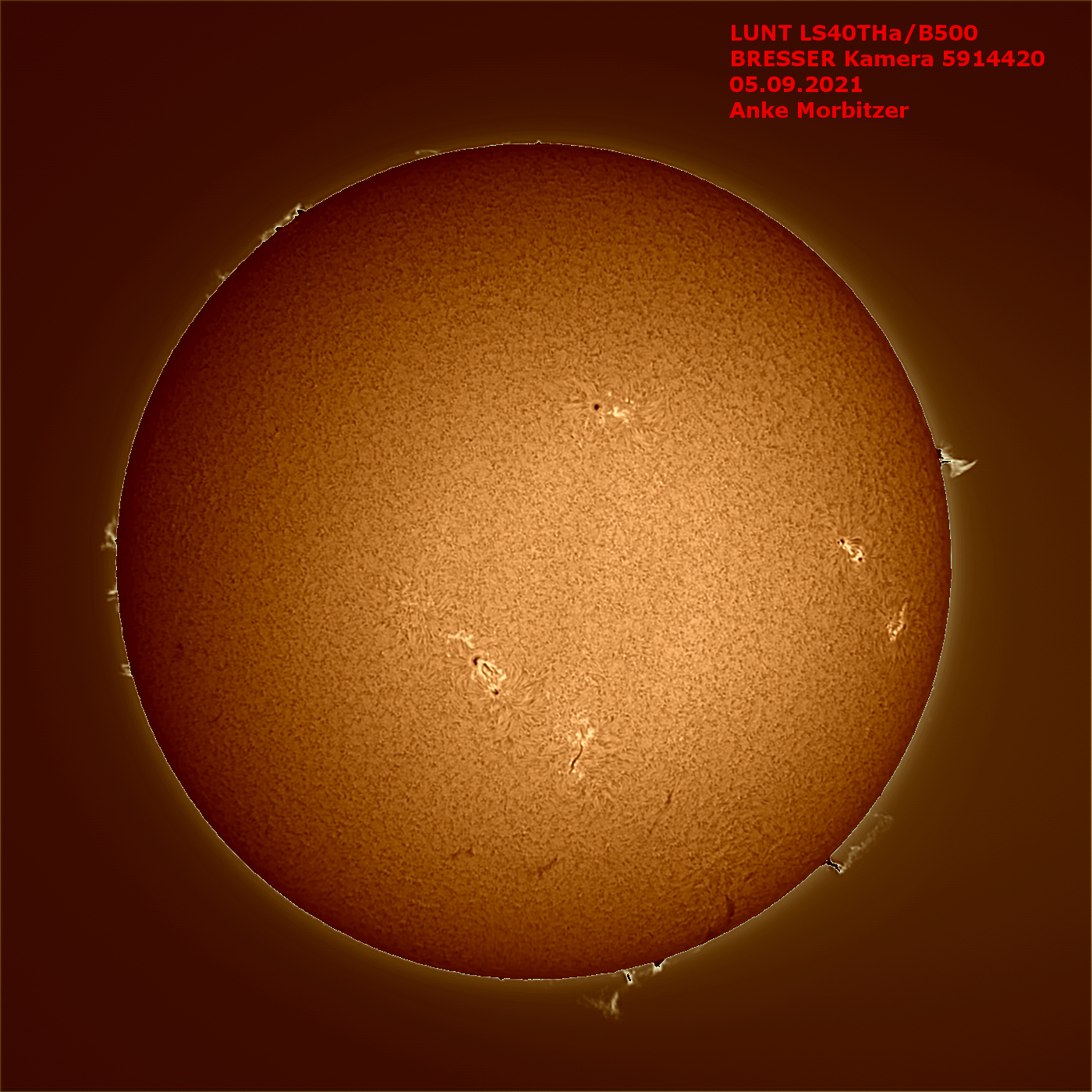 Telescopio solar LUNT LS40THa/B500 H-alfa