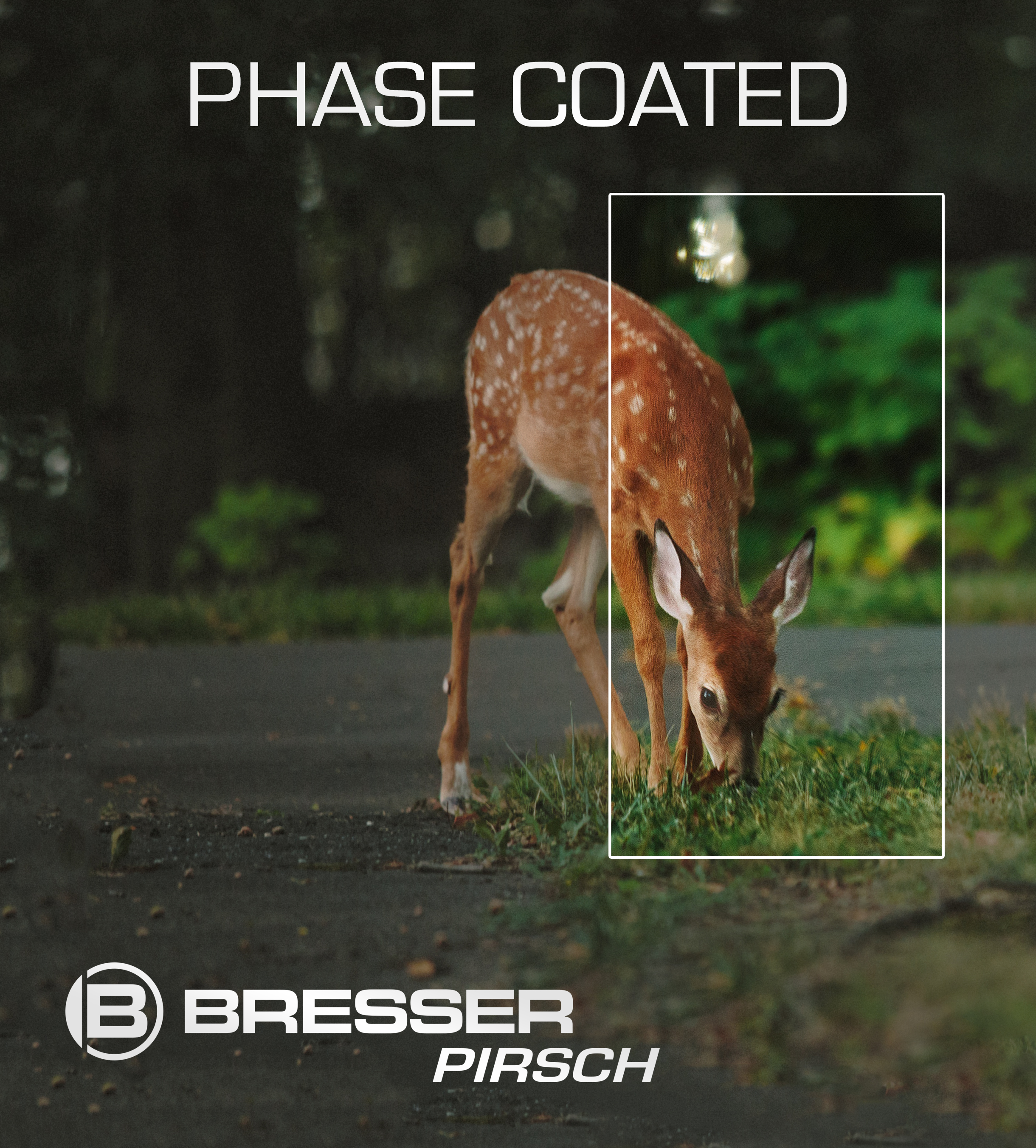 Prismáticos BRESSER Pirsch 8x56 con Revestimiento Corrector de Fase